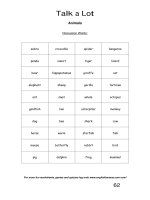 talk a lot 2 discussion words animals 