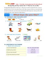 Bài tập tiếng anh lớp 3 (mới) Unit 17: What toys do you like?