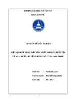 Hiệu quả sử dụng đất sản xuất nông nghiệp tại xã nam xuân, huyện krông nô, tỉnh đắk nông 