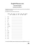 elementary homophones bgb30 