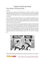 Văn mẫu lớp 9: Nghị luận về vấn đề bạo lực học đường