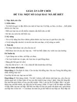 Giáo án đề tài Một số loại rau mà bé biết (lớp chồi)