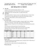 Kế hoạch cá nhân trong công tác giảng dạy