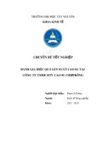 Đánh giá hiệu quả sản xuất cao su tại công ty TNHH MTV chư prông 