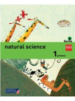 clil natural science 1 primary 