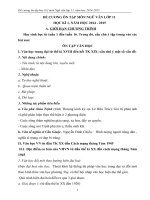 ĐỀ CƯƠNG ôn tập lớp 11, HKI (13 14) HC (4)