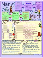 5053 many  much  for elementary level  3 tasks  with key  fully editable  