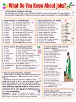 28056 what do you know about jobs 