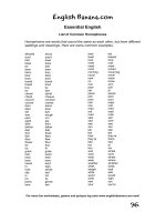 list of common homophones bgb96 