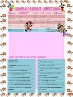 4617 question words wh qusetions 