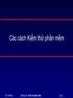Các cách kiểm thử phần mềm  
