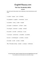 vocabulary animals ev13 