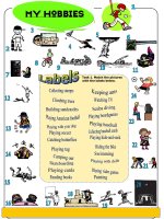 166 my hobbies pictionary 