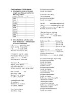 carly rae jepsen call me maybe past simple and 