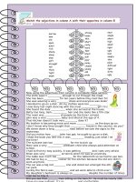 21679 adjectives  opposites 