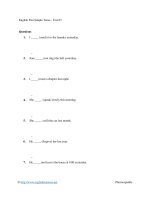 English past simple tense   test 03 