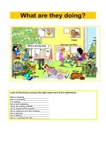 7440 what are they doing 