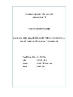 Đánh giá hiệu quả sử dụng đất trồng cây hàng năm tại xã eapil, huyện m’đăk, tỉnh đăk lăk 