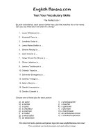 the perfect job 1 iv14 