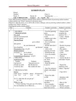 Giáo án Tiếng Anh 6 unit 5: Things I do