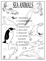 249 sea animals 1 