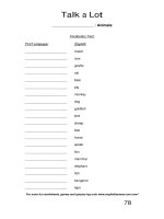 talk a lot 2 vocabulary test animals 