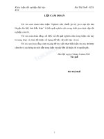 Nghiên cứu chuỗi giá trị gà ta tại địa bàn huyện ba bể, tỉnh bắc kạn 