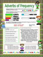5252 adverbs of frequency 