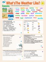 31785 whats the weather like 