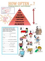 3664 frequency adverbs 