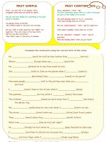 25372 past simple or continuous 