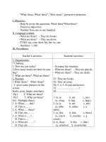 What these; what those, how many, possessive pronouns