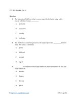 PET (b1) grammar test 01 