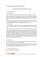 Soạn bài lớp 11: Từ ngôn ngữ chung đến lời nói cá nhân