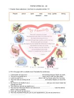 9064 animal similes asas 