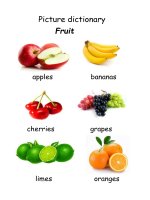 Fruit picture dictionary 