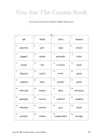 yatcb lesson plans 40 common functions of spoken english elementary 