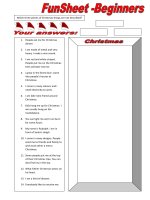 2471 funsheet for beginners christmas 