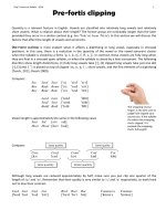 040   pre fortis clipping 