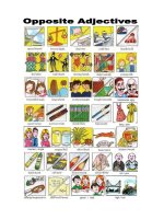 692 opposites 