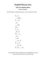 parts of the body 3 es11 