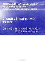 BÀI GIẢNG VI SINH vật đại CƯƠNG   đh NÔNG lâm HUẾ 