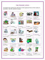 8461 the passive voice present simple 