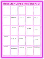 56096 irregular verbs pictionary 3 