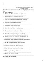 SENTENCE TRANSFORMATION