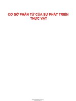 BÀI GIẢNG SINH học PHÂN tử và tế bào THỰC vật cơ 