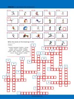 10638 sport crossword 