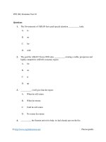 PET (b1) grammar test 03 