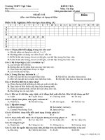 Đề kiểm tra 1 tiết môn tin học 10