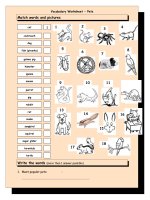 3771 vocabulary matching worksheet  pets 